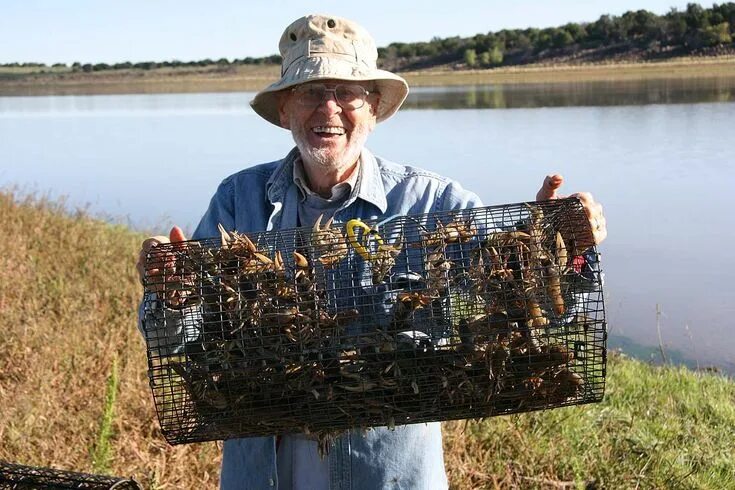 Приманка для раков своими руками Trapper Arne's crayfish traps catch more; Catching more crawfish with Trapper Ar