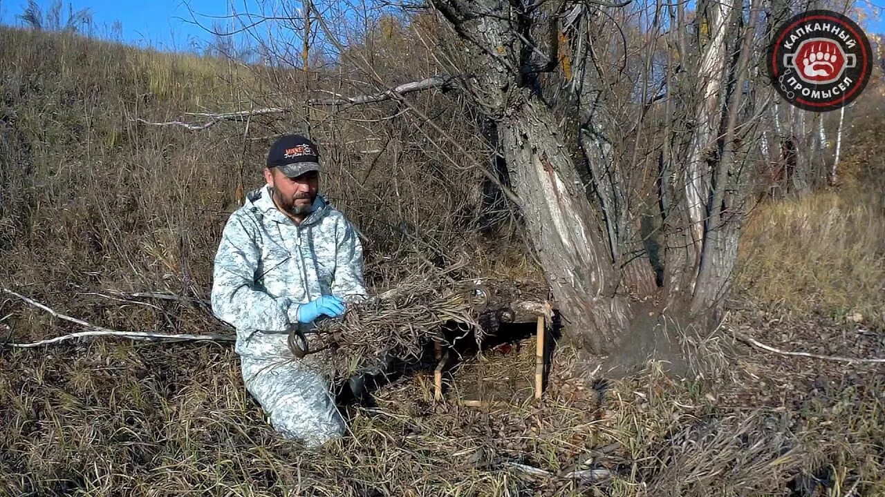 Приманка на барсука своими руками Барсук Отлов в ловчий короб Bridger# 330 & Приманка "Тако" - YouTube