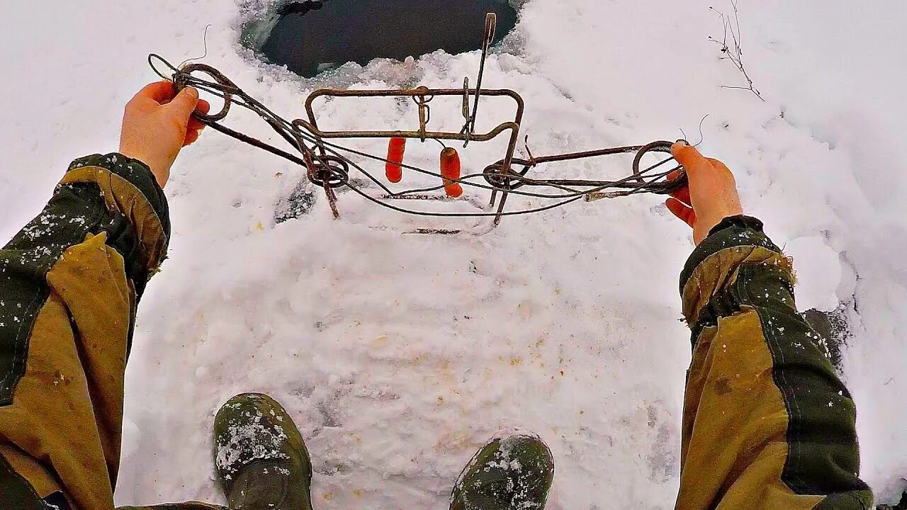 Приманка на бобра своими руками Как работает приманка МОРКОВЬ в январе ЧАСТЬ2.Охота на бобра(Будни охотника и ры