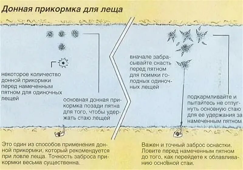 Приманка на леща своими руками Картинки ЛУЧШАЯ ПРИКОРМКА НА ЛЕЩА ЛЕТОМ