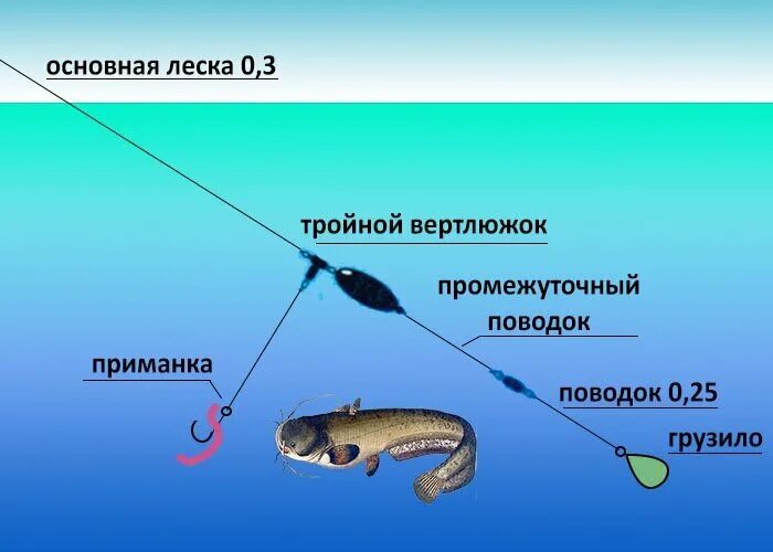 Приманка на сома своими руками Ловля сома Только про рыбалку Дзен