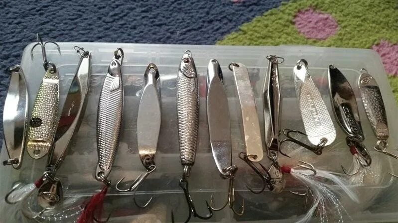 Приманку на жереха своими руками Catchy asp lures: spinners, spoons, devons and other lures