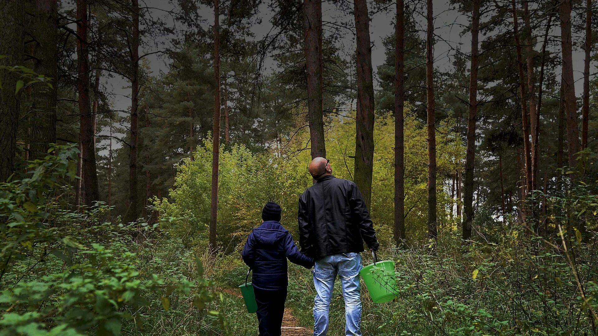 Пример фото в лесу Как в поисках грибов самому не потеряться: спасатели напоминают правила безопасн