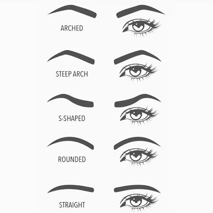 Примеры бровей фото This is a good example of many different brow shapes. When a client comes in I a