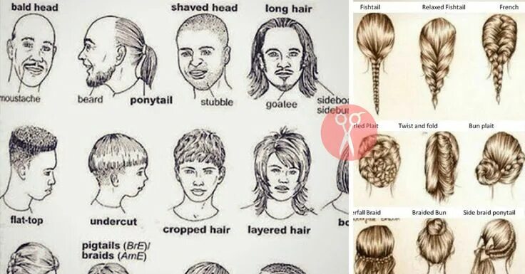 Примеры длинных причесок Hairstyles Vocabulary: A Guide to English Hair Terms English vocabulary, Vocabul