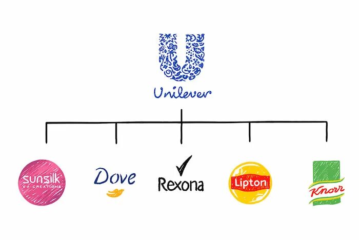 Walk around progeny Anecdote umbrella brand vs house of brands Solve Blind Safe