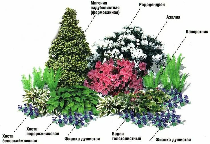 Примеры клумб из многолетников фото Пин на доске Схемы Цветники Flower gardens Flower Beds Scheme Flower Garden Desi