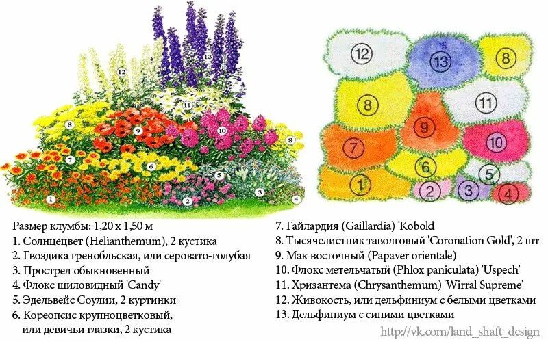 Примеры клумб из многолетников фото миксбордер схема: 21 тыс изображений найдено в Яндекс.Картинках Посадка цветов, 