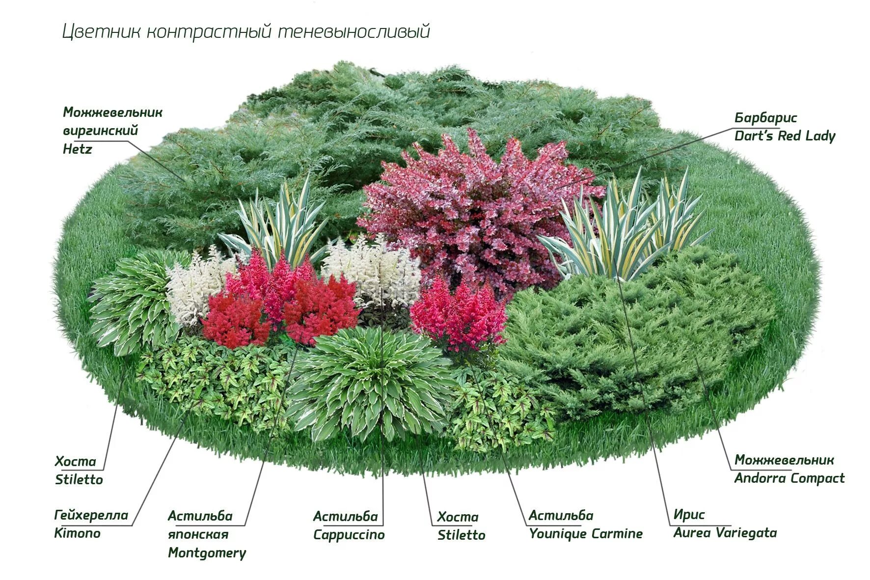 Примеры клумб из многолетников фото Ландшафтный набор № 1 Flower garden design, Flower garden plans, Garden flower b