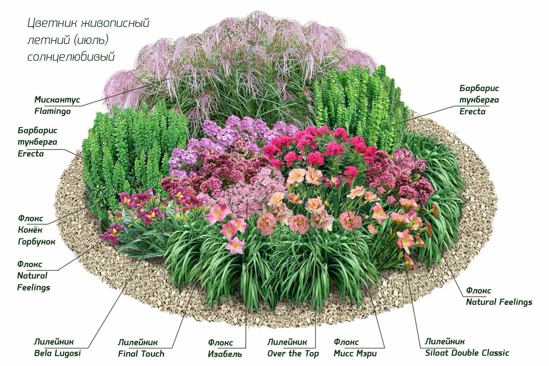 Примеры клумб из многолетников фото Ландшафтный набор № 2 Flower garden plans, Garden design, Garden landscape desig