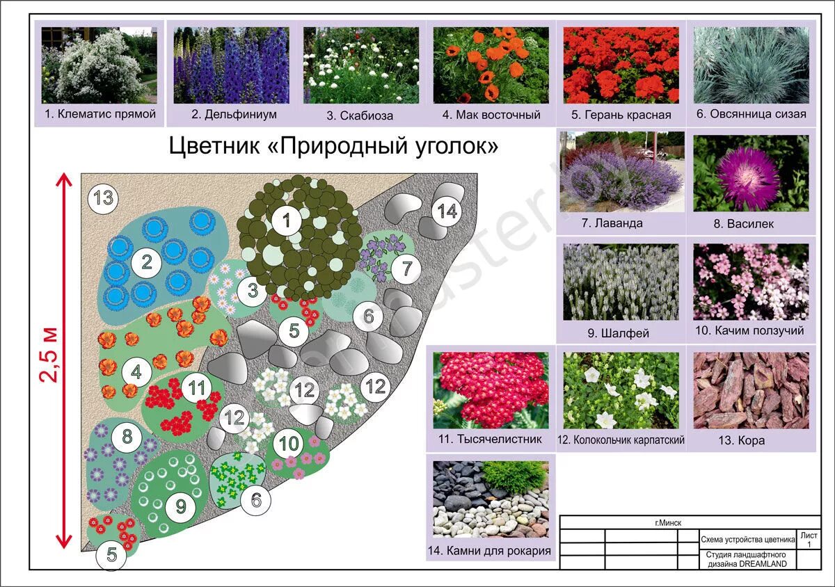 Примеры клумб из многолетников фото схемы Наши работы. Цветники.