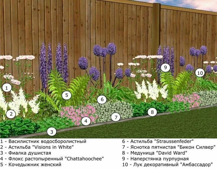 Примеры клумб из многолетников фото схемы Пин от пользователя татьяна на доске садовое Цветник план, Цветник, Клумбы