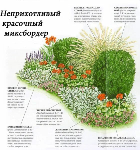 Примеры клумб из многолетников фото схемы Оформление цветников на даче Garden planning, Flower garden plans, Garden flower