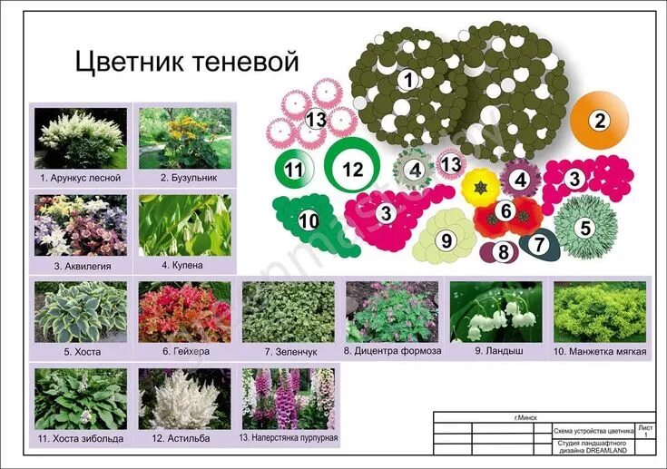 Примеры клумб из многолетников фото схемы готовые схемы цветников и клумб для начинающих: 10 тыс изображений найдено в Янд