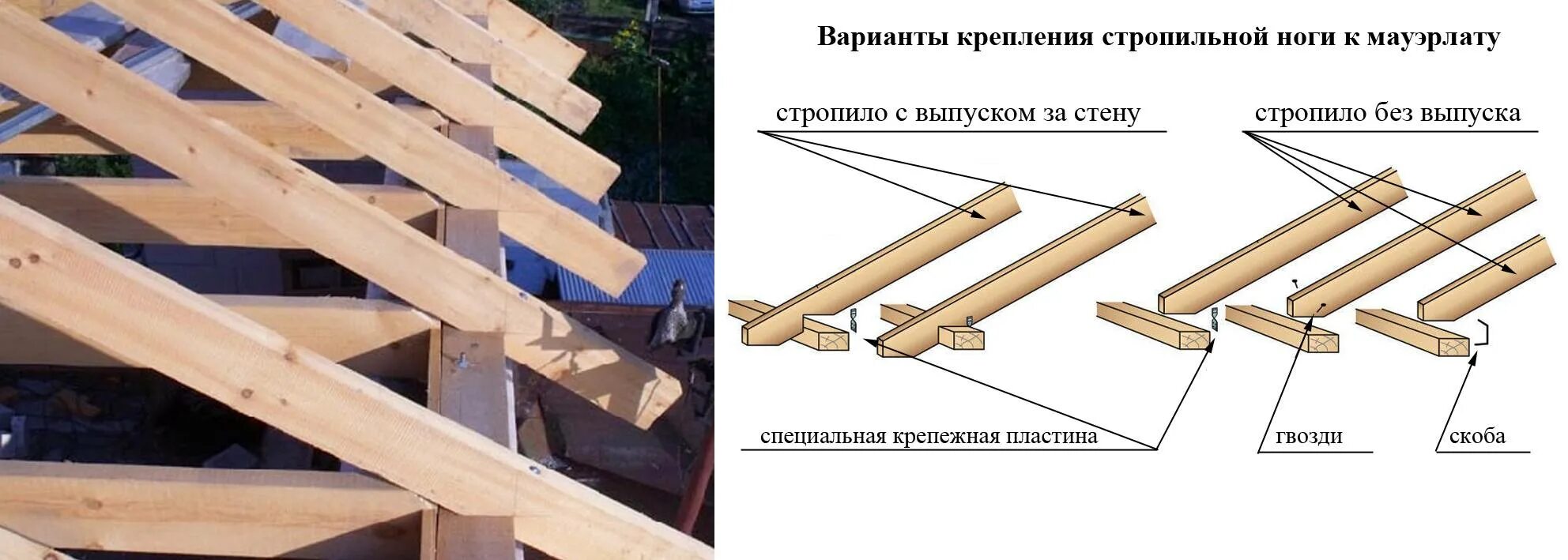 Примеры крепления стропил пристройки к дому Мауэрлат для односкатной крыши: необходимые размеры, правильное крепление стропи