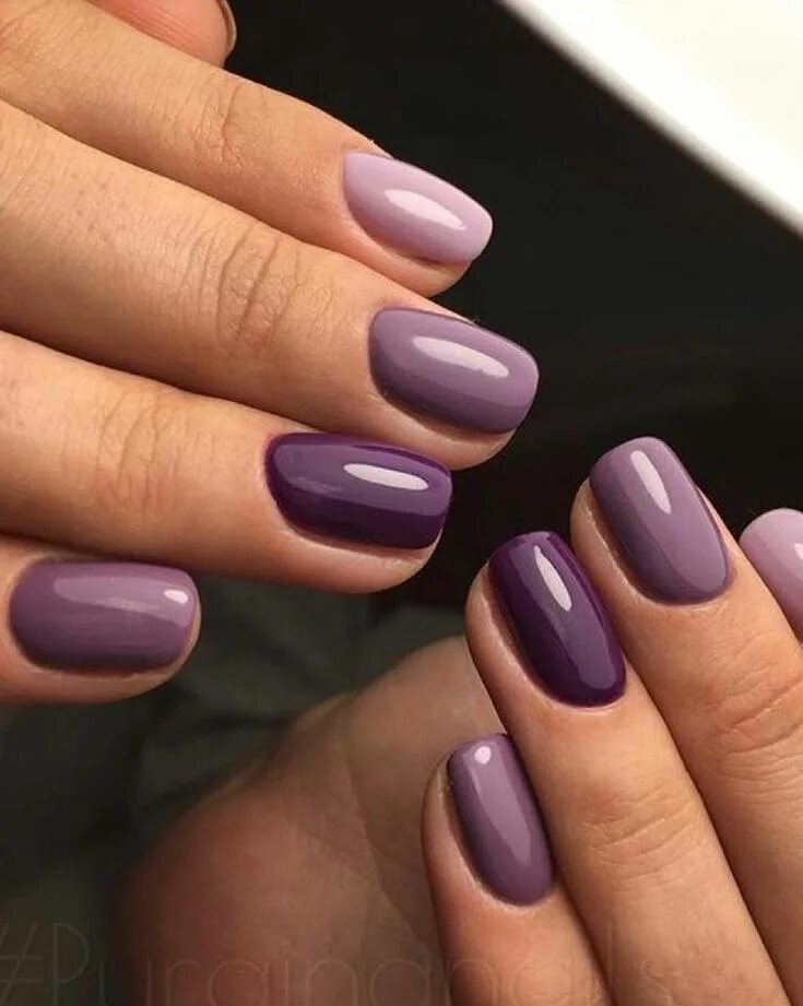 Примеры маникюра однотонные цвета Pin on Nail Art/Polish Purple nails, Purple nail designs, Nails