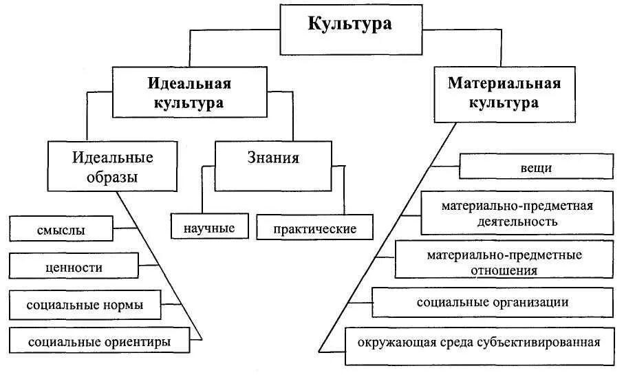 Примеры материальной культуры которые окружают дома 12 Организационная культура