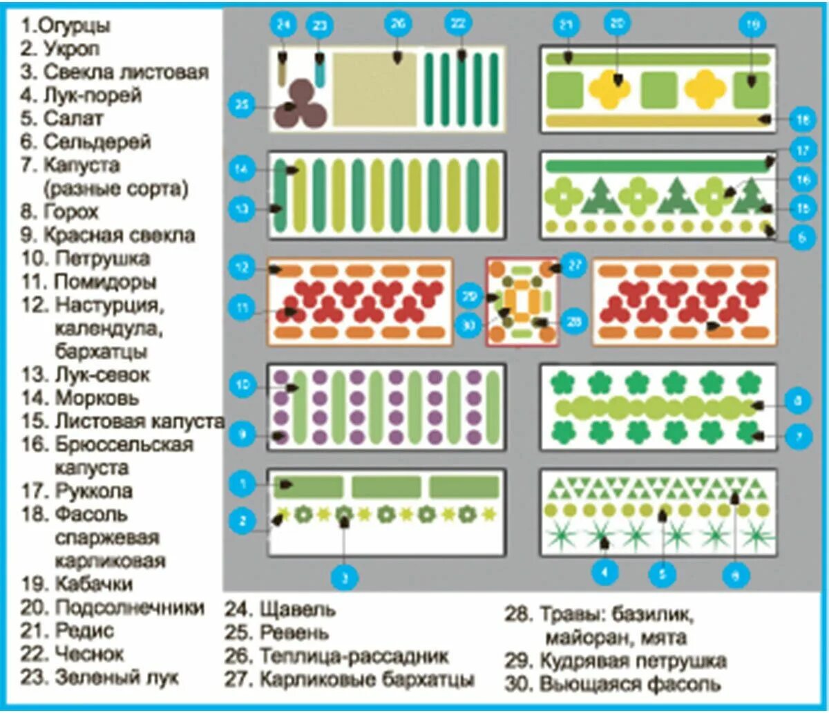 Примеры планировки огорода Пин на доске Огород в 2024 г Огород, Декоративный огород, Удобрение для сада