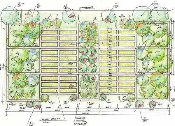 Примеры планировки огорода Огород для ленивых и умных: как сделать удобные и урожайные грядки Огород, Озеле