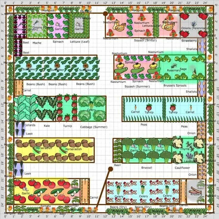 Примеры планировки огорода large vegetable garden layout - Google Search Garden planning layout, Vegetable 