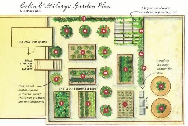 Примеры планировки огорода Grow a Rooftop Garden Vegetable garden planning, Rooftop garden, Garden layout v