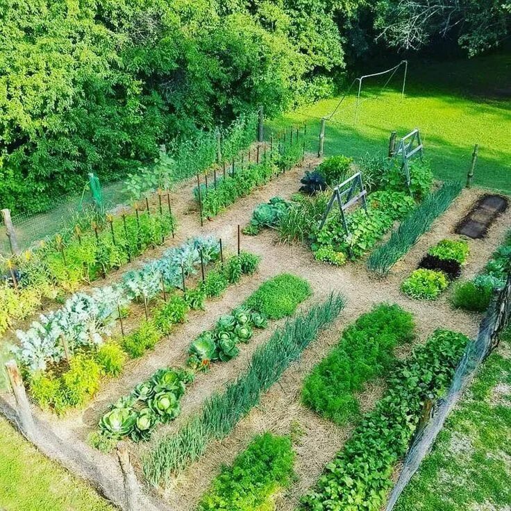 Примеры планировки огорода 100 top idées pour faire un jardin potager Design de jardin potager, Jardin pota