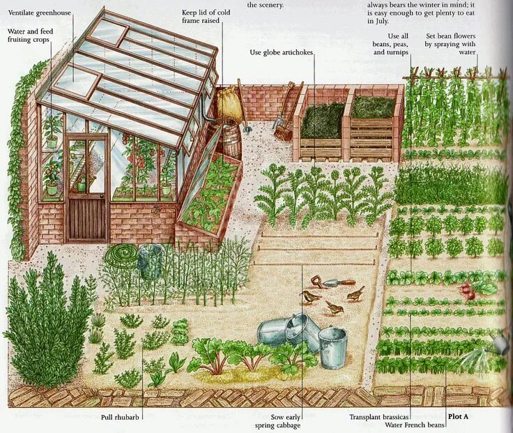 Примеры планировки огорода garden plot Garden planning, Garden design plans, Garden design