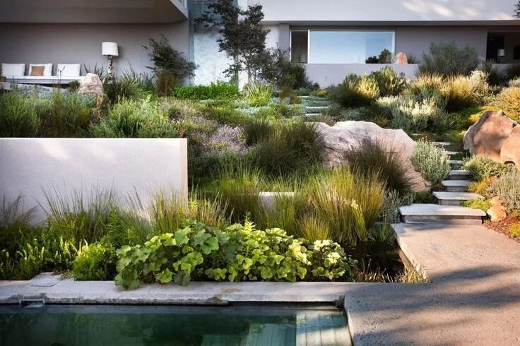 Примеры стилей ландшафтного дизайна Сад в средиземноморском стиле Contemporary garden design, Garden landscape desig