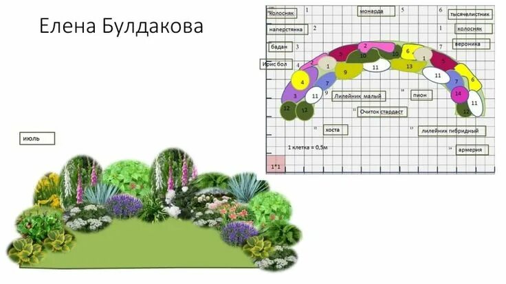 Примеры цветников из многолетников фото схемы Схемы цветников участников летнего практикума Делаем цветник непрерывного цветен