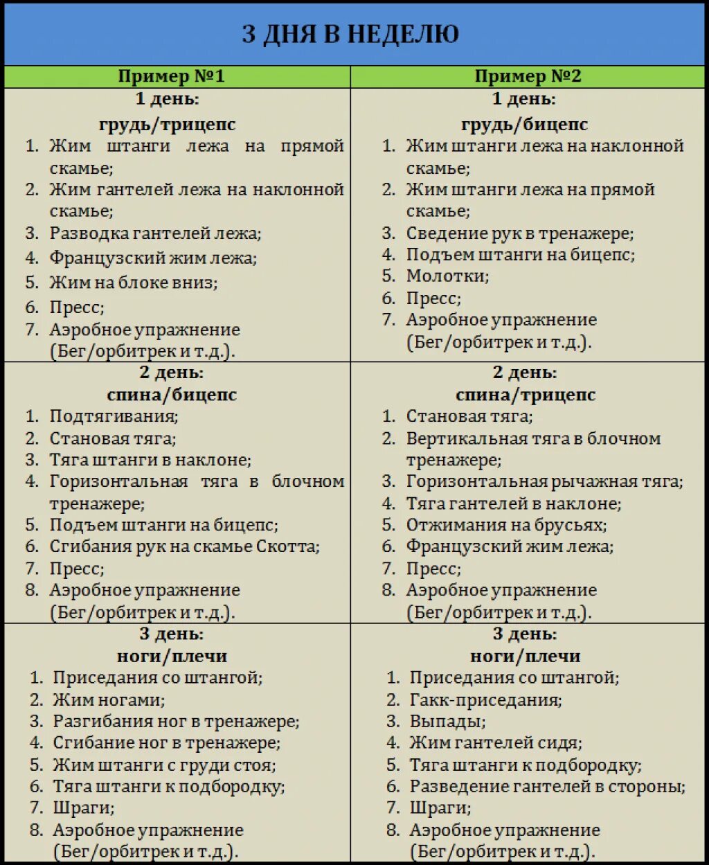 Примеры тренировок дома Тренировки зал 3 раза в неделю