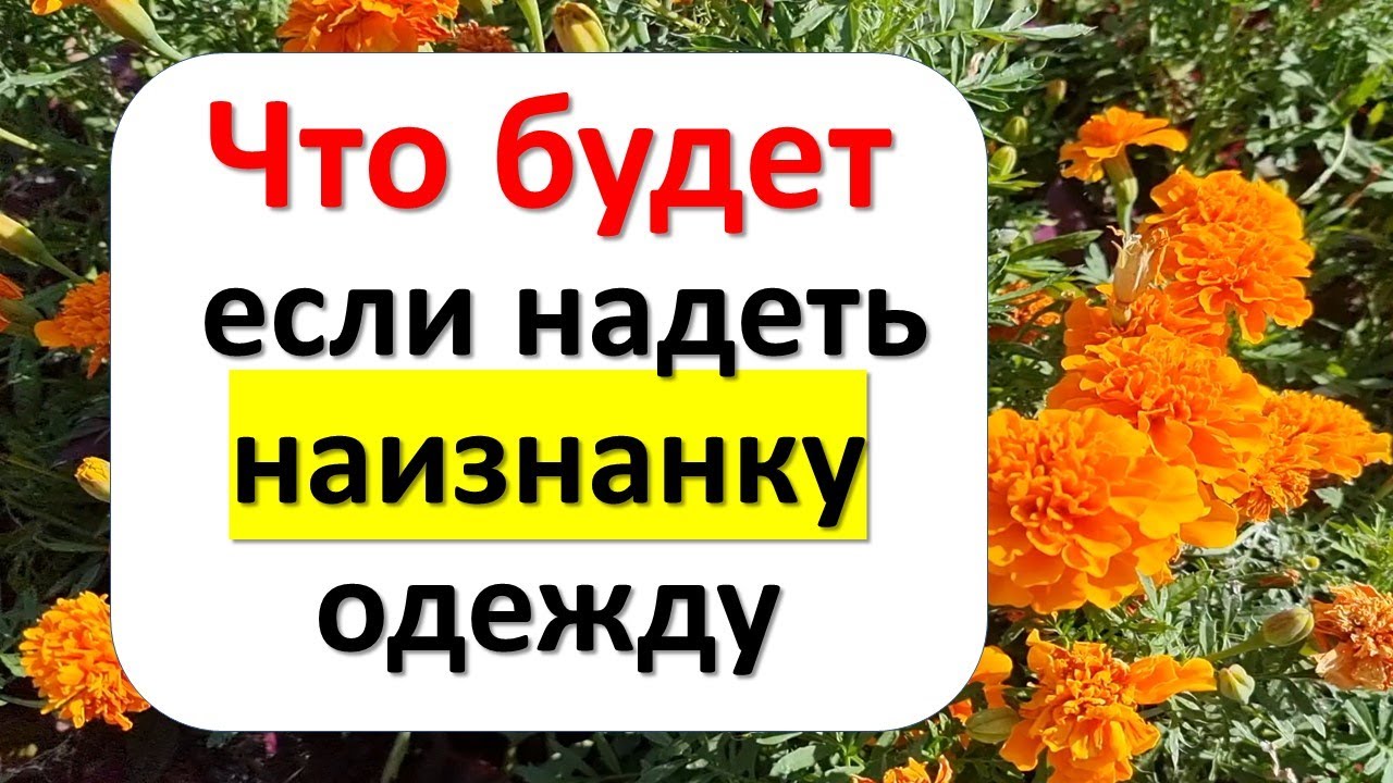 Примета к чему одеть наизнанку Что будет, если надеть наизнанку одежду и как уберечься от сглаза - YouTube