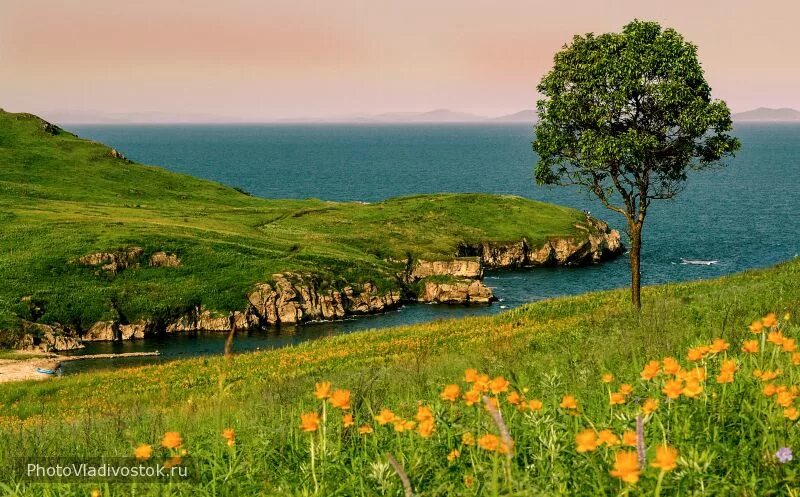 Приморье фото природы Море. Природа - Фото Владивосток. Фотогалерея города Владивостока и Приморского 