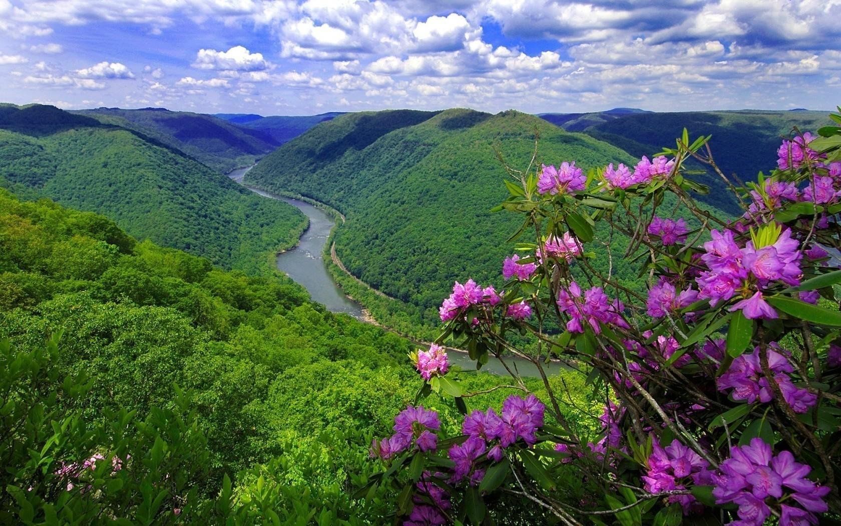 Приморский край фото природы красивые Краеведческий час "Любим неспроста эти заповедные места" 2024, Уссурийск - дата 