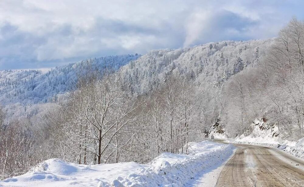 Приморский край зимой фото В Приморье продолжится потепление. Местами пройдет снег. Ночи станут теплее - Ма