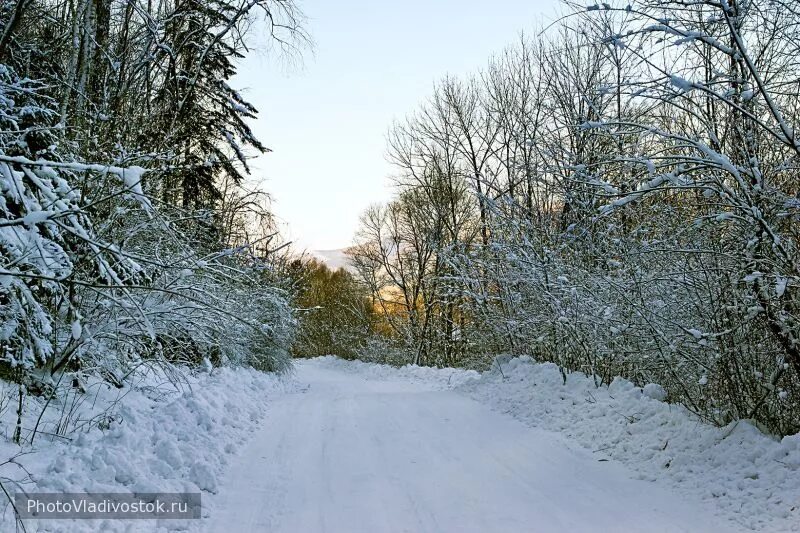 Приморский край зимой фото Winter dream. Зима. Город Владивосток - Фото Владивосток. Фотогалерея города Вла