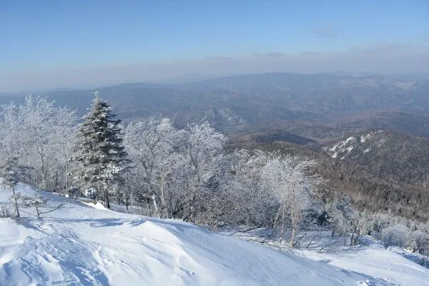 Приморский край зимой фото Приморская тайга - 15 фотографий ВКонтакте