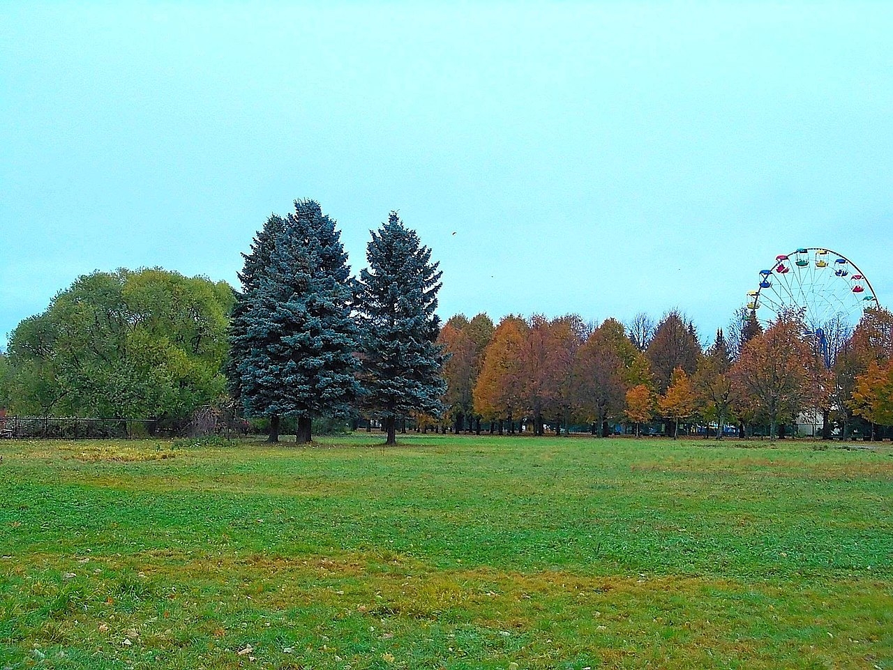 Приморский парк - Фото