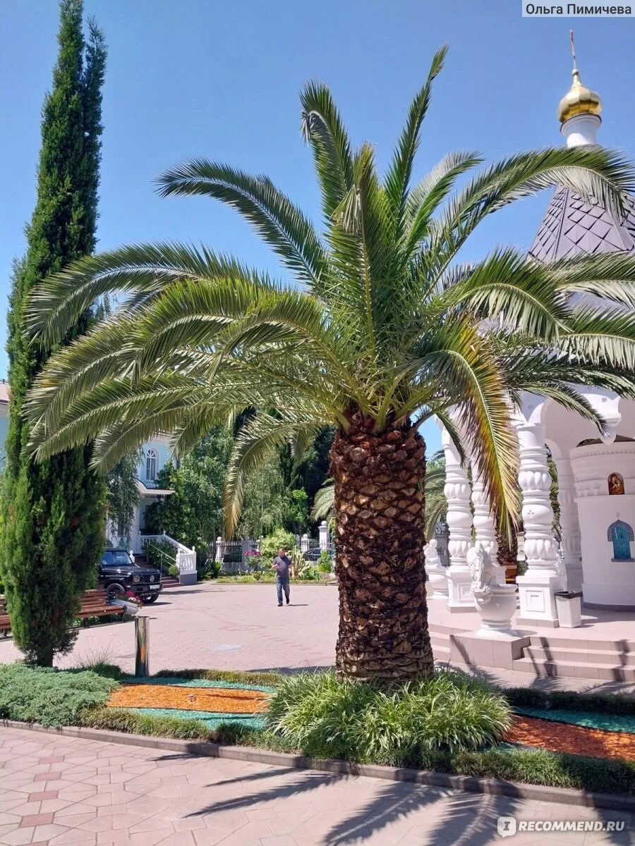 Приморский парк сочи фото Приморский парк, Сочи - "Красивейший парк в центре Сочи. Но без происшествий не 