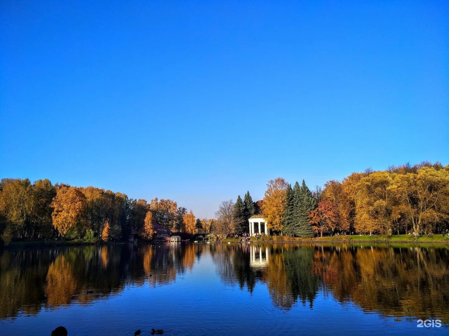 Приморский парк спб фото Приморский парк победы - блог Санатории Кавказа