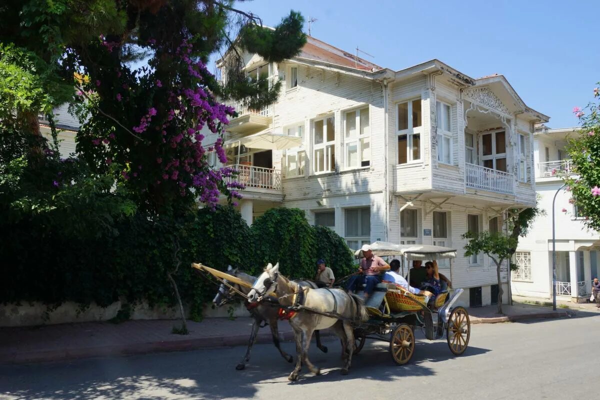 Принцевы острова бююкада фото Экскурсия на Принцевы острова в Стамбуле - Цены 2024 Отзывы