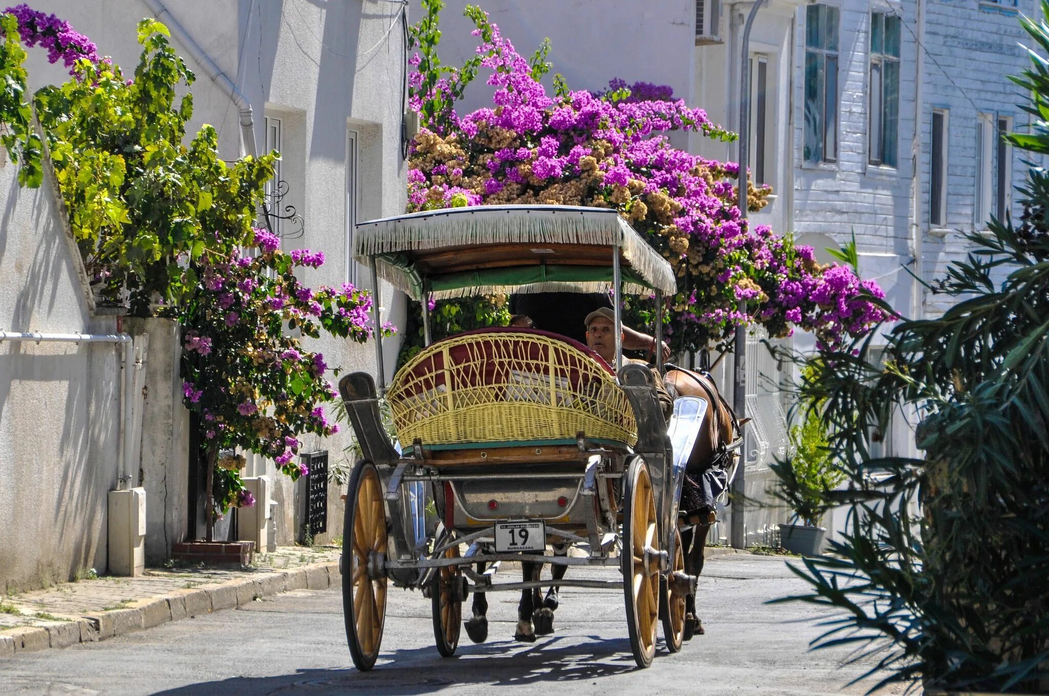 Принцевы острова в стамбуле фото Prince Islands, Istanbul Istanbul, Great pictures, Voyage