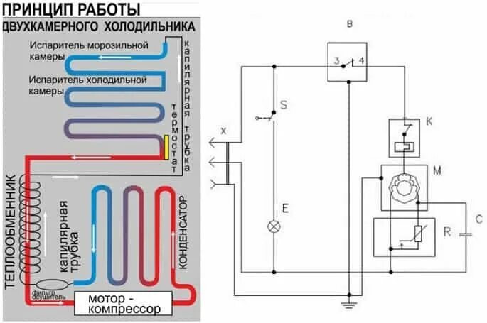 Принцип работы электросхема Электрическая схема холодильника: устройство и принцип работы бытовых холодильни