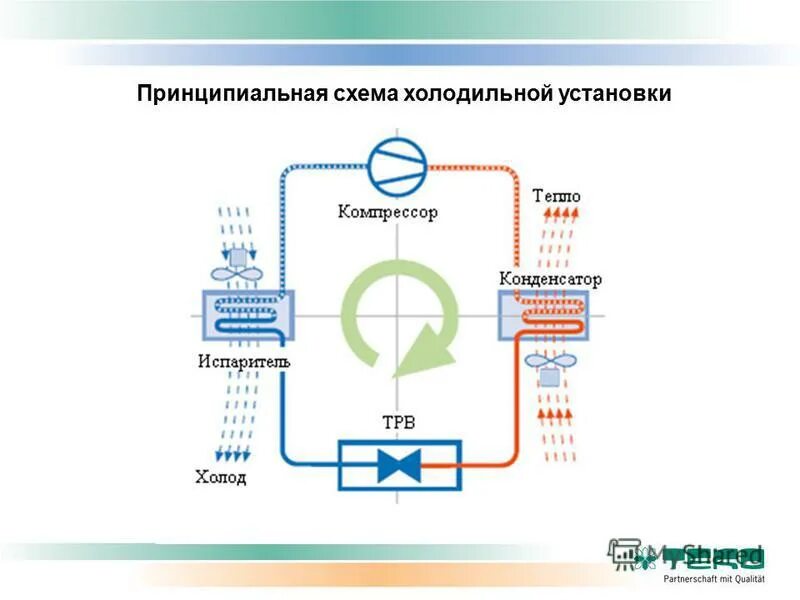 Принцип работы холодильной установки схема Практическая работа № 1 Алексей - Рабочий процесс паровой компрессорной холодиль