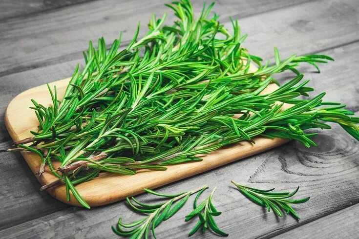 Приправа к мясу веточка розмарина фото Barbecue Rosemary: Why This Herb Is a Foodie's Favorite Herb for Cooking & More 