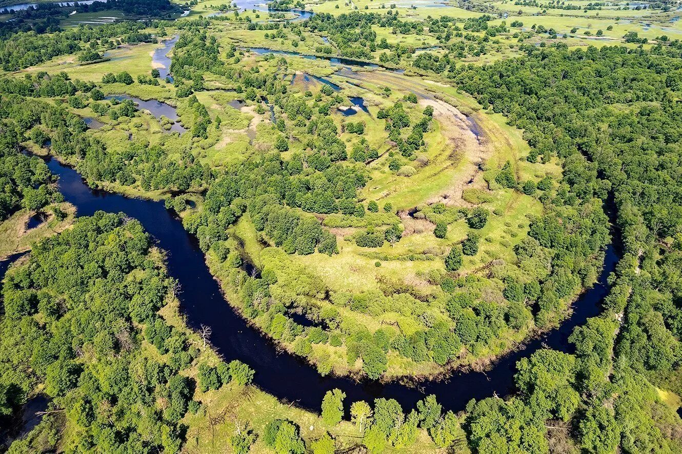 Припятский национальный парк фото Національний парк Прип\'ятський (багато фото) - viewsnap.ru