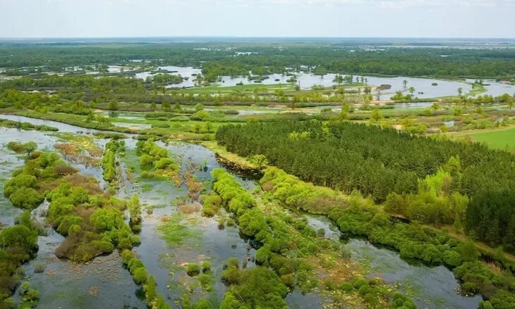 Припятский национальный парк фото Национальные парки, заповедники и заказники Беларуси