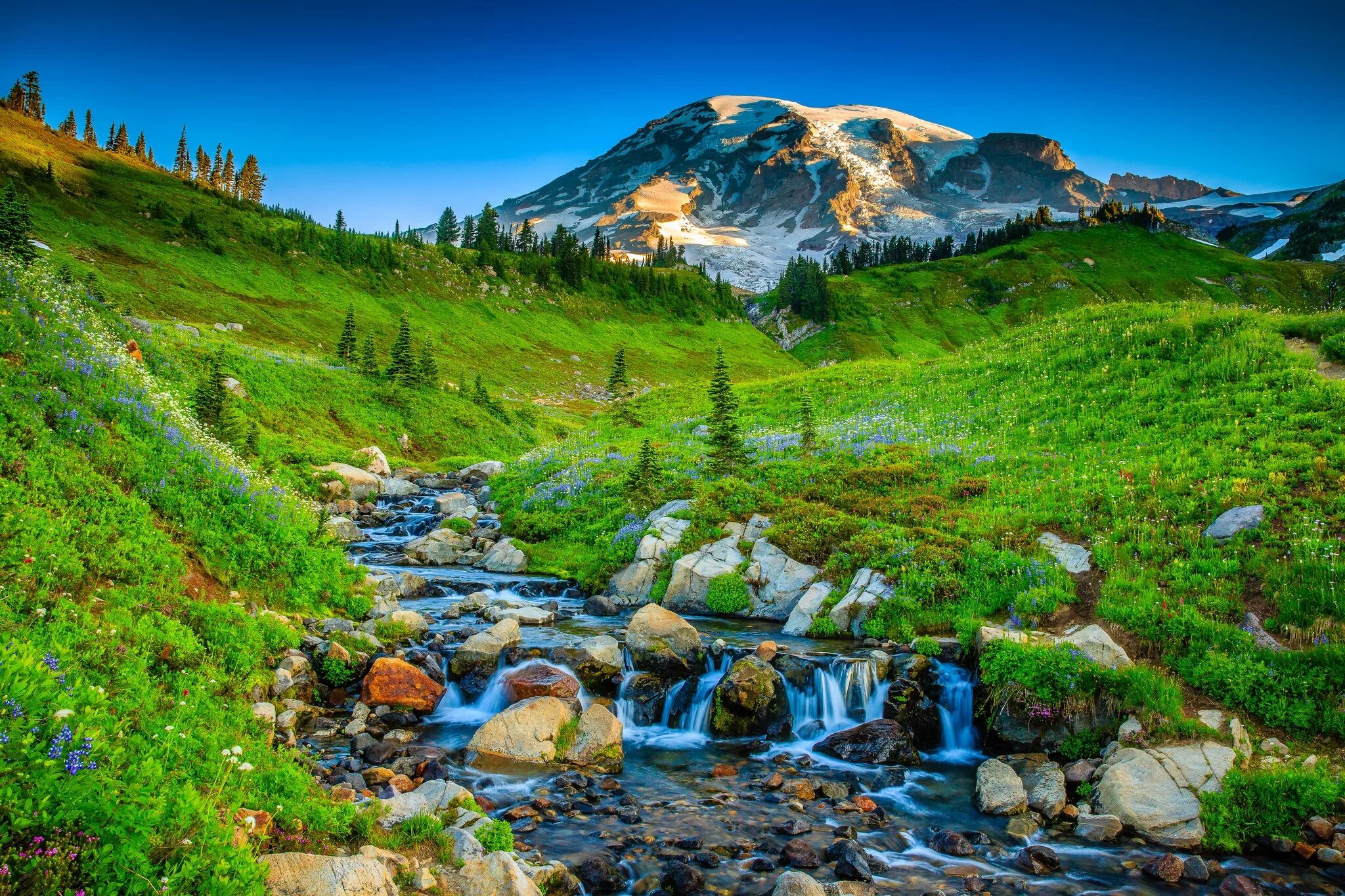 Природа 2 фото Download wallpaper grass, trees, mountains, river, stones, USA, Washington, sect