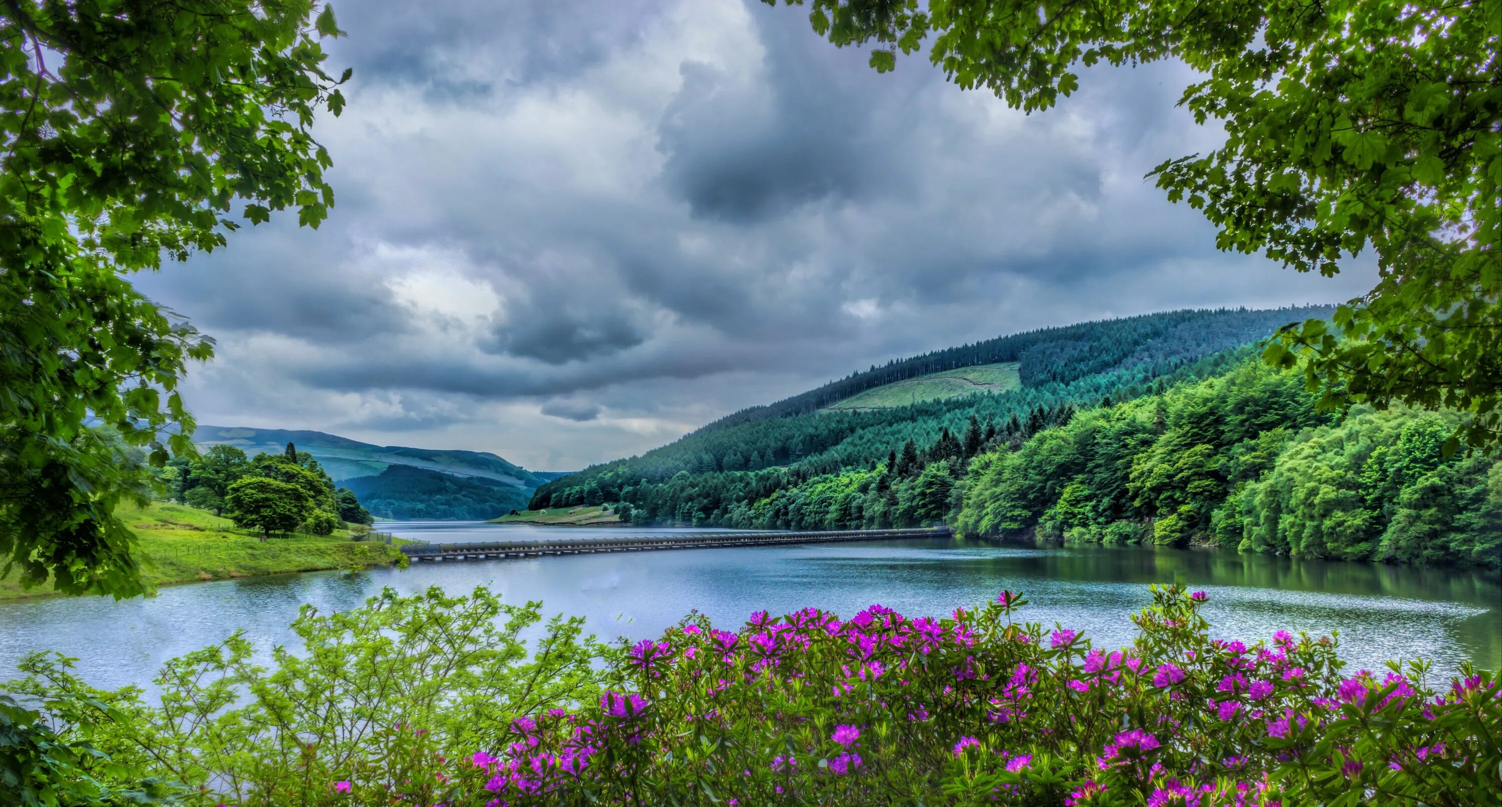 Природа 2 фото pink outdoor flowers beside river during daytime, ladybower reservoir, ladybower