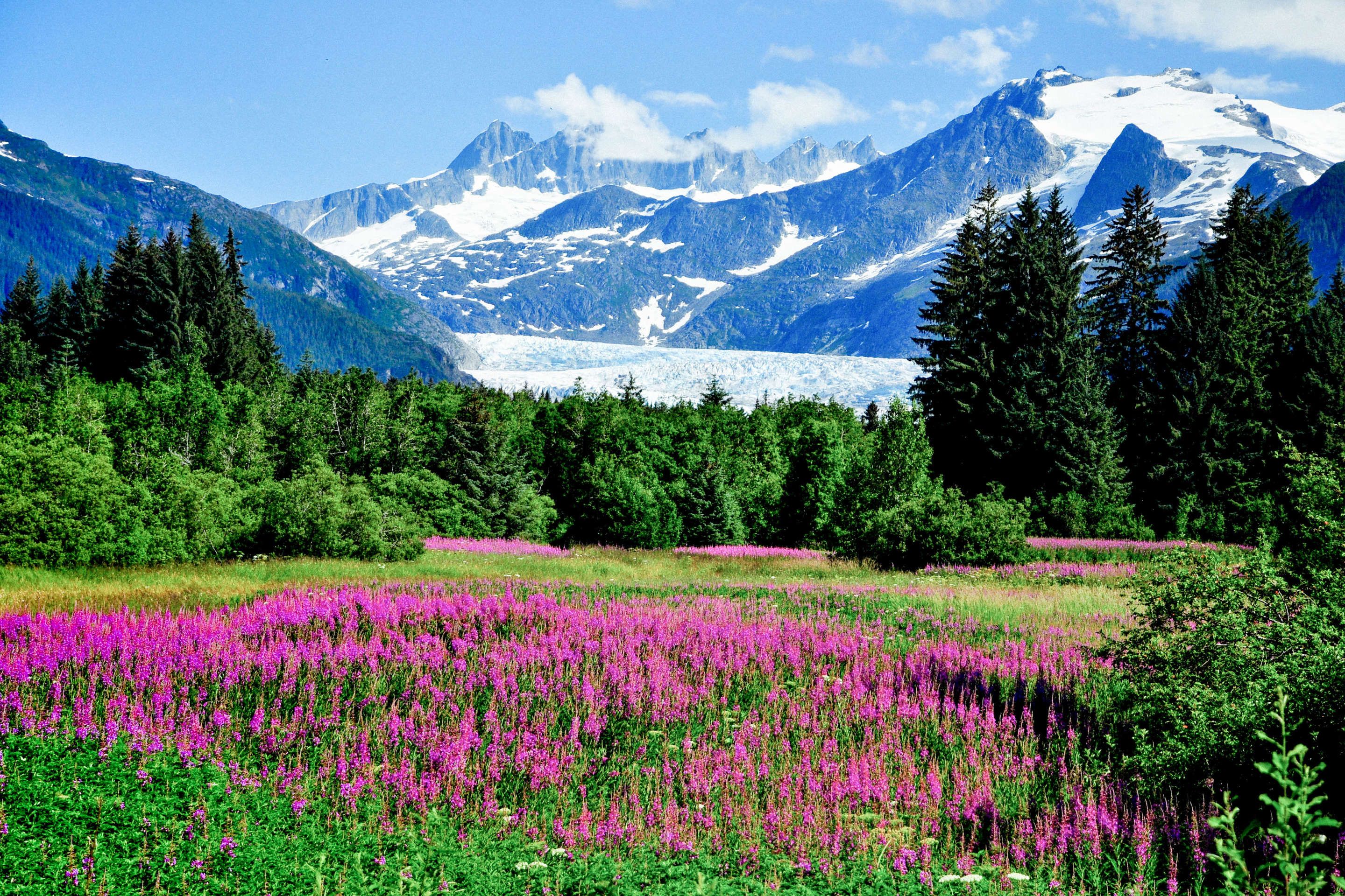 Природа 2 фото 10 Incredible Hikes to Take When You're in Juneau Alaska travel, Juneau alaska, 