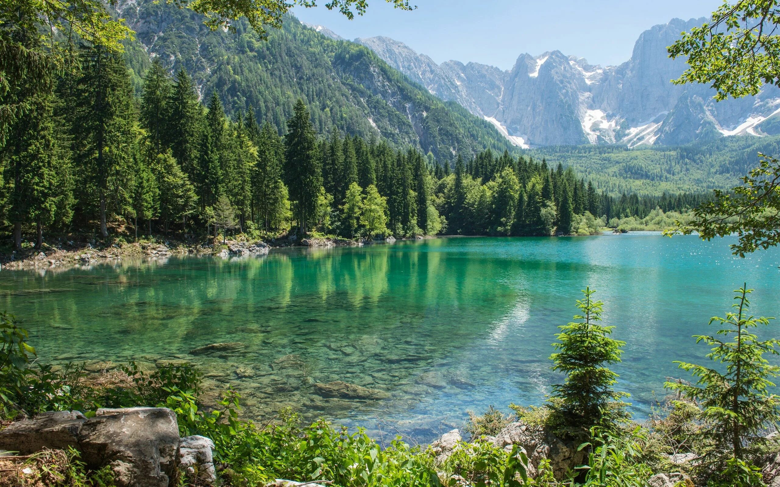 Природа 2 фото Montagne, forêt, arbres, lac, pierres Fonds d'écran - 2560x1600 Paesaggi, Laghi,